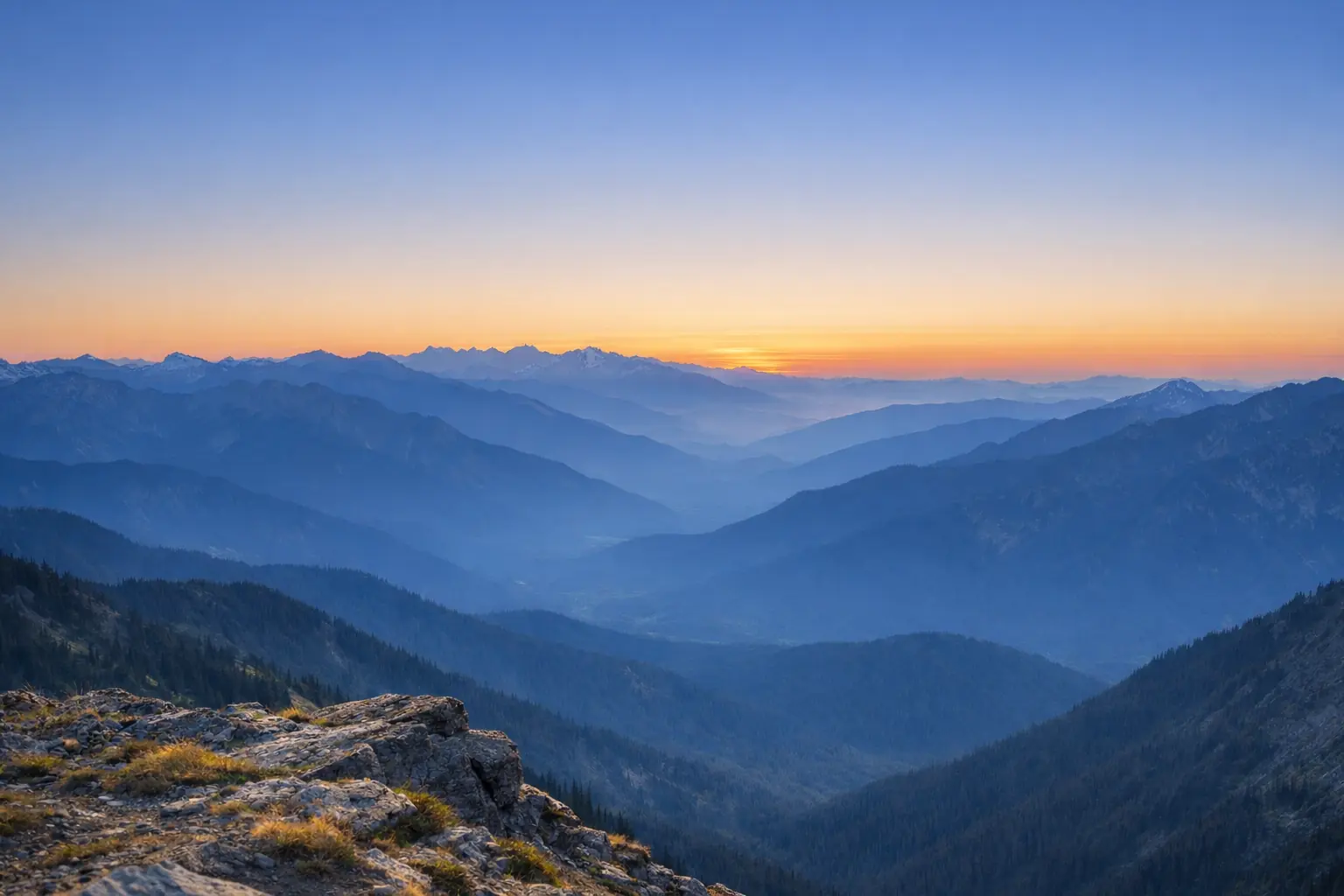 Business owner reviewing financial reports with CPA advisor